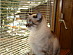View full size picture
