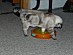 View full size picture