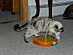 View full size picture