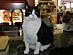 View full size picture
