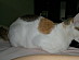 View full size picture