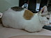 View full size picture