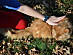 View full size picture