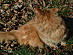 View full size picture