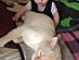 View full size picture