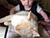 View full size picture