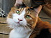 View full size picture