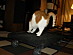 View full size picture