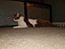 View full size picture