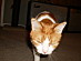 View full size picture