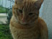 View full size picture