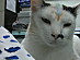 View full size picture