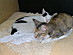 View full size picture
