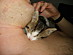 View full size picture