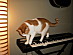 View full size picture