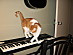 View full size picture
