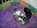 View full size picture