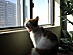 View full size picture