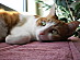 View full size picture