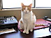 View full size picture
