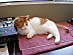 View full size picture