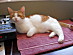 View full size picture