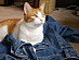 View full size picture