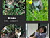 View full size picture