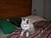 View full size picture