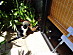 View full size picture