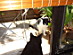 View full size picture