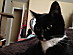 View full size picture
