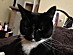 View full size picture