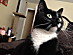 View full size picture