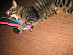 View full size picture
