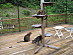 View full size picture