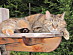 View full size picture