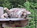 View full size picture