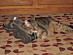 View full size picture