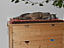View full size picture