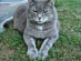 View full size picture