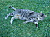 View full size picture