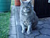 View full size picture
