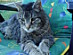 View full size picture