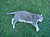 View full size picture