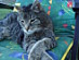 View full size picture