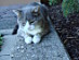 View full size picture