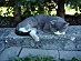 View full size picture