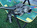 View full size picture
