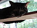 View full size picture